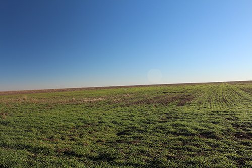 TRACT 4 - REAL ESTATE & MINERAL AUCTION - 640+/- ACRES & PRODUCING MINERALS OFFERED IN 8 TRACTS IN MORTON COUNTY, KANSAS